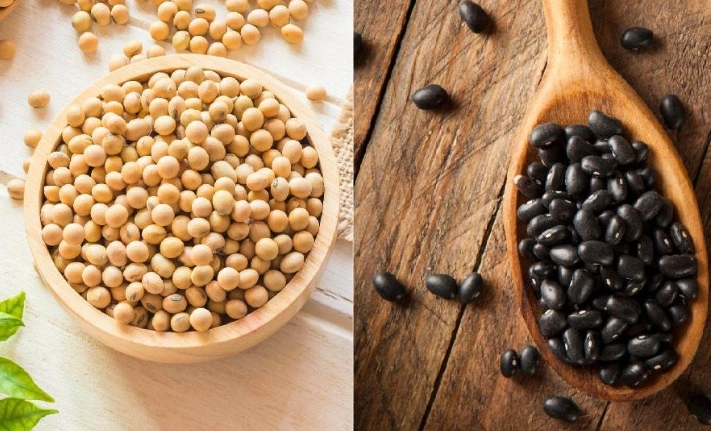 黃豆雌激素 黃豆雌激素