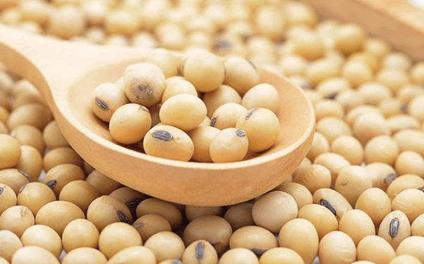 黃豆雌激素 黃豆雌激素