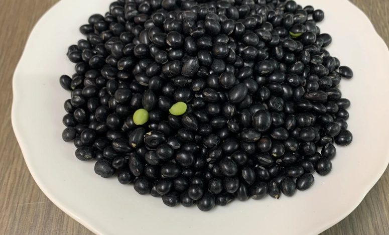 黑豆蛋白質好處