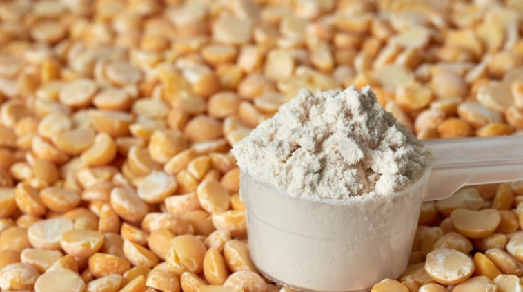 植物蛋白減重 植物蛋白減重