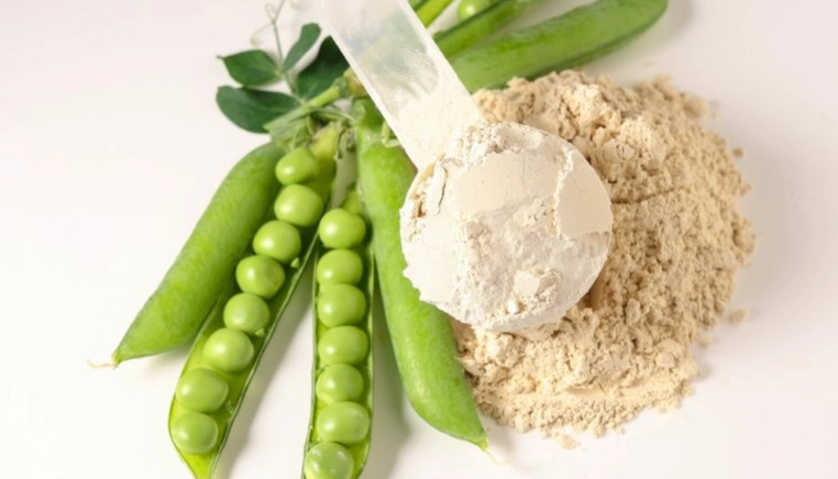 減少蛋白粉脹氣