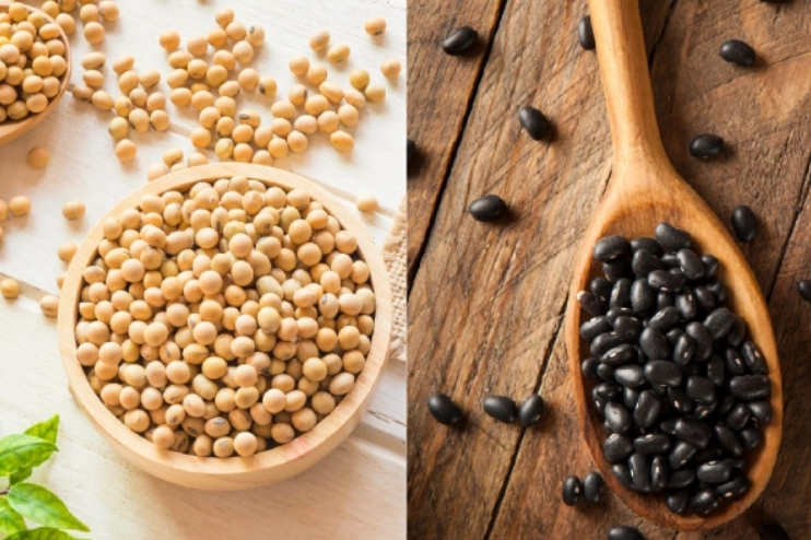 黃豆營養價值 黃豆營養價值