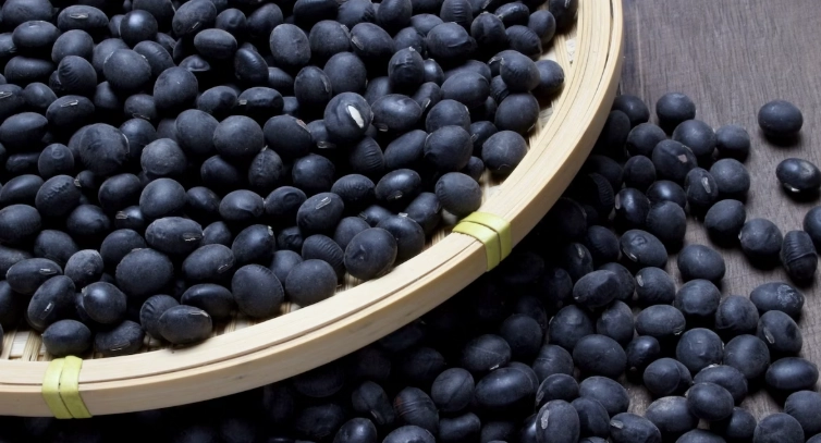 黑豆營養價值