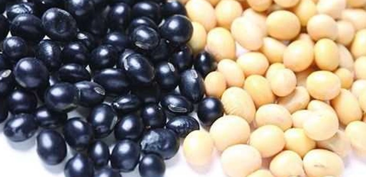 豆類營養比較 豆類營養比較