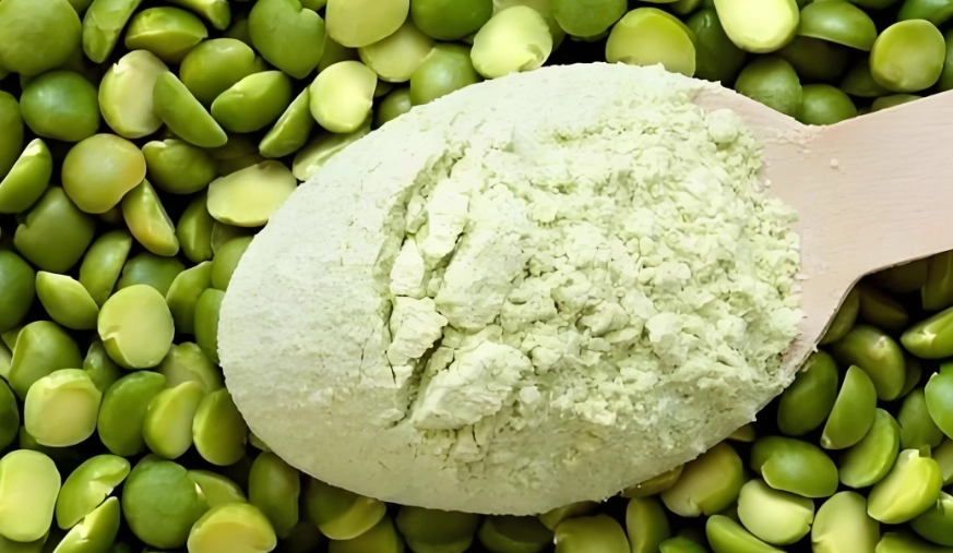 植物蛋白消化不良