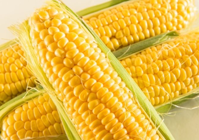 一根玉米熱量 一根玉米熱量