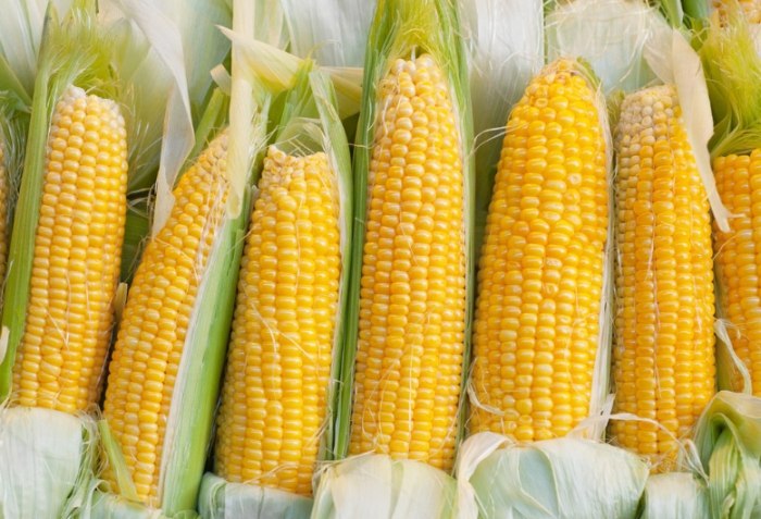 白玉米熱量 白玉米熱量