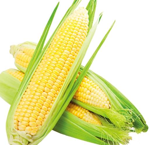 玉米对男性的益处 玉米对男性的益处