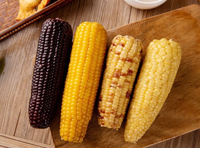 一根玉米熱量 一根玉米熱量