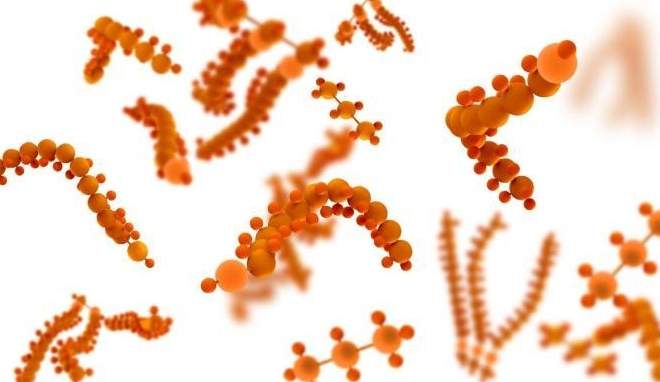 酵素最佳食用時間 酵素最佳食用時間