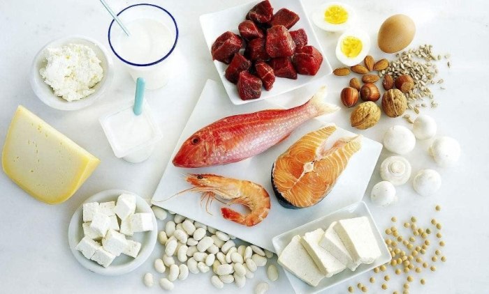 營養素攝取比例