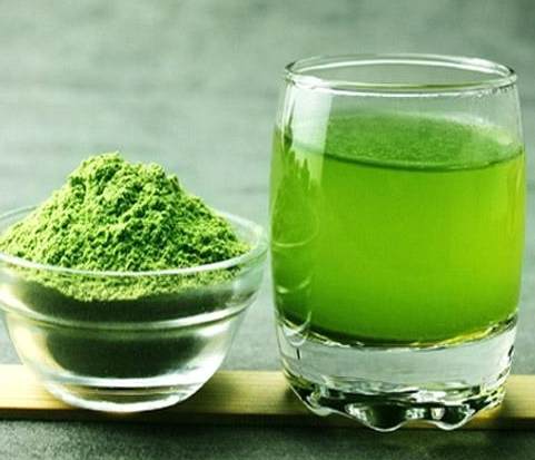 酵素使用時機 酵素使用時機