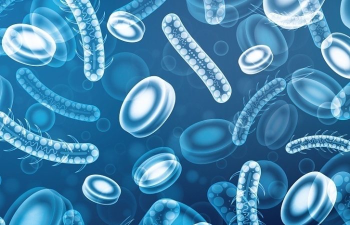 腸胃益生菌 推薦 腸胃益生菌 推薦