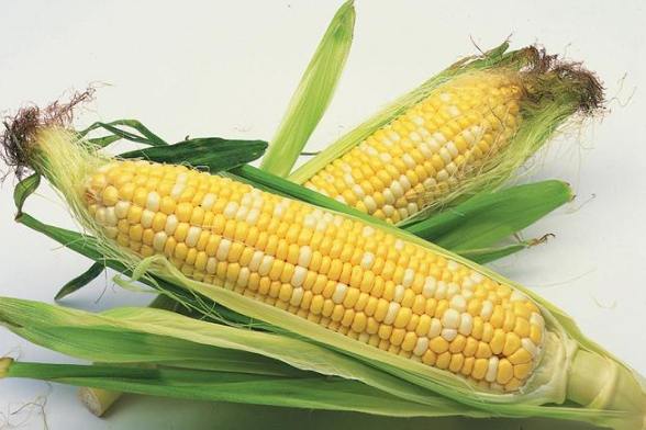 男人吃玉米好处 男人吃玉米好处