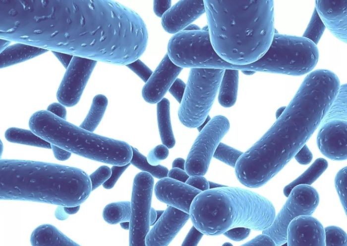 腸胃益生菌 推薦 腸胃益生菌 推薦