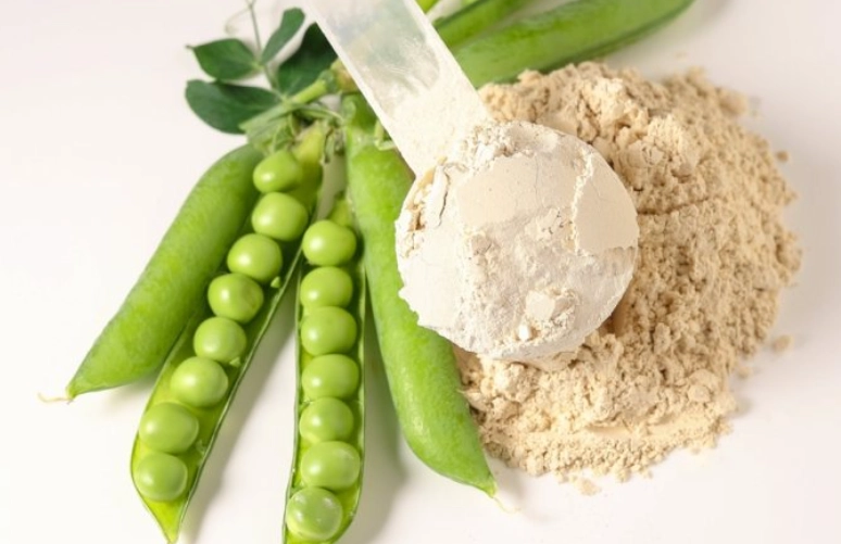豌豆蛋白 大豆蛋白 比較 豌豆蛋白 大豆蛋白 比較
