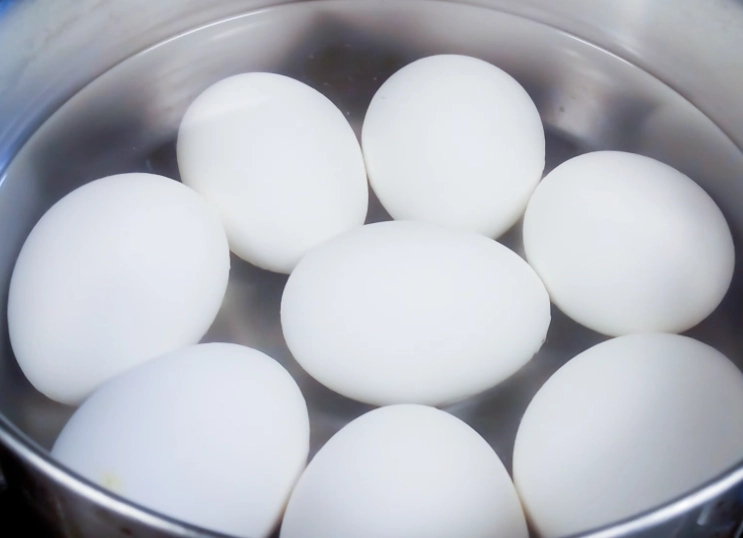 蛋蛋白營養價值