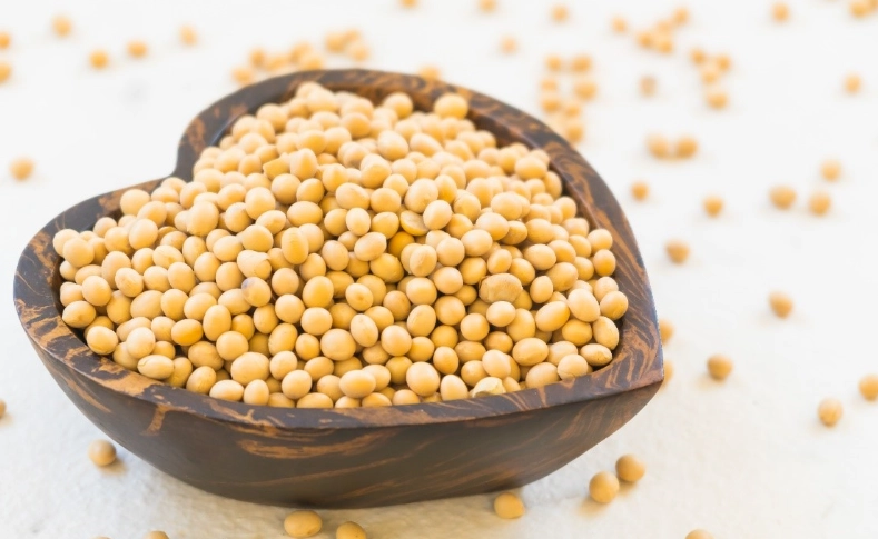 乾黃豆蛋白質好處 乾黃豆蛋白質好處