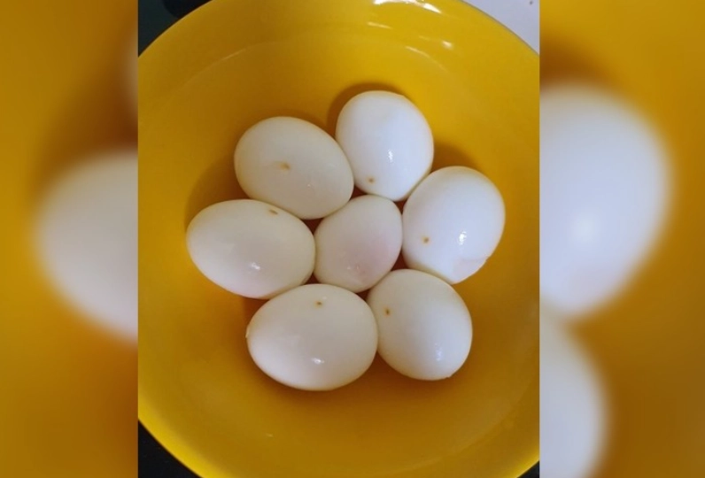 蛋蛋白營養價值