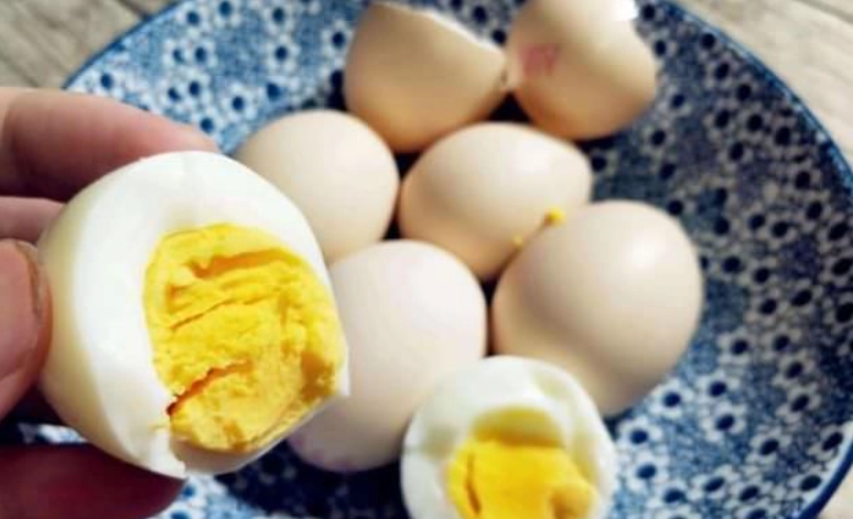 蛋蛋白營養價值