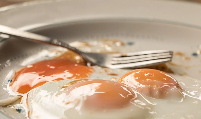 蛋白質含量 蛋白質含量