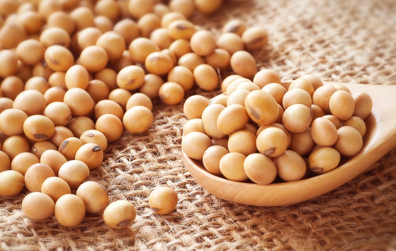 乾黃豆蛋白質好處 乾黃豆蛋白質好處