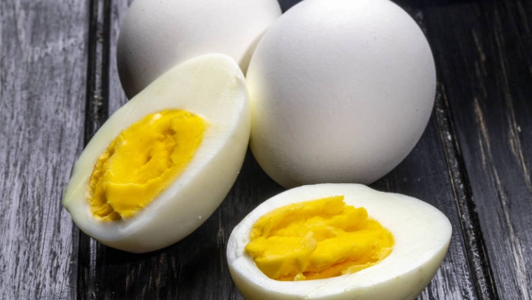 雞蛋蛋白營養 雞蛋蛋白營養