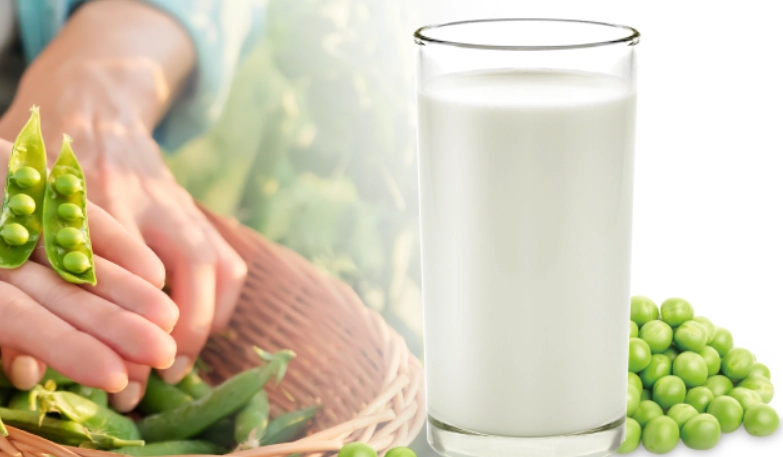 豌豆蛋白粉食用方法 豌豆蛋白粉食用方法