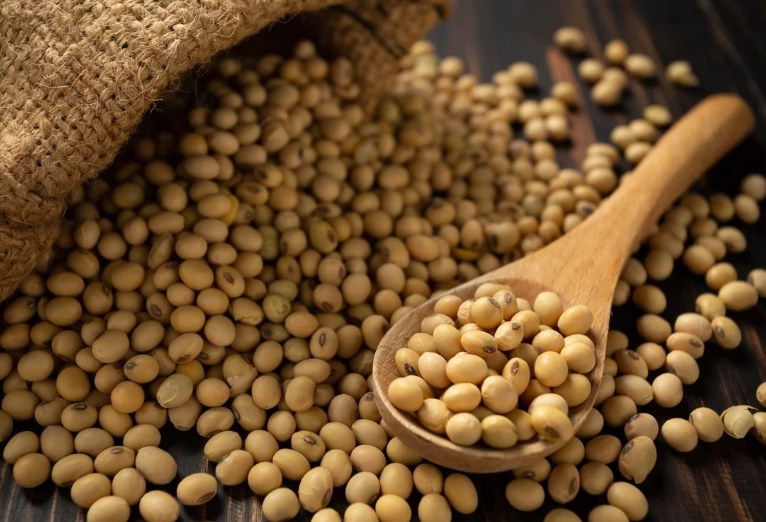 乾黃豆蛋白質食譜 乾黃豆蛋白質食譜