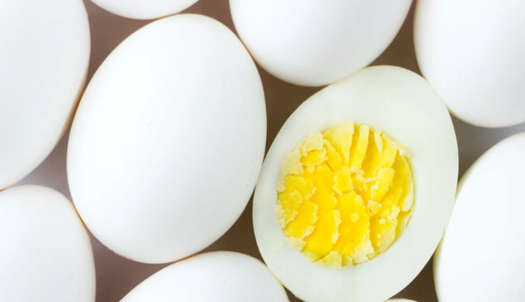 雞蛋蛋白營養 雞蛋蛋白營養