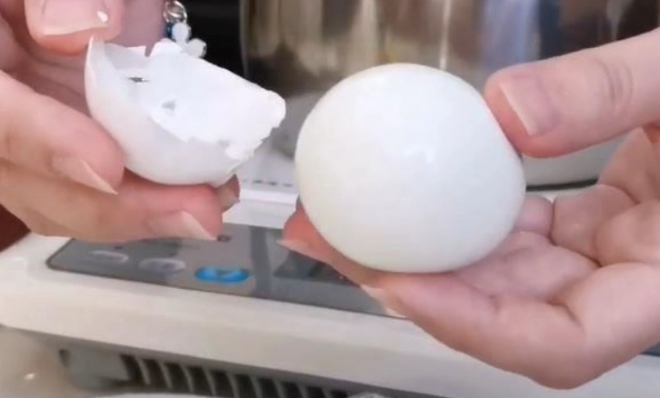 水煮蛋蛋白熱量