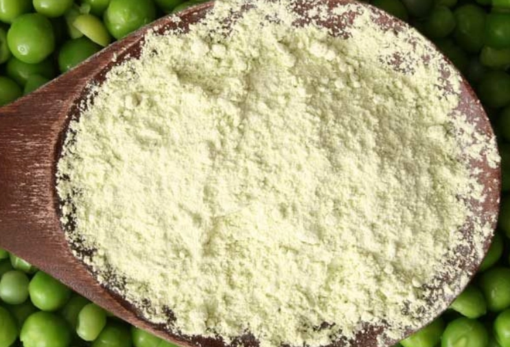 大豆蛋白 過敏 大豆蛋白 過敏