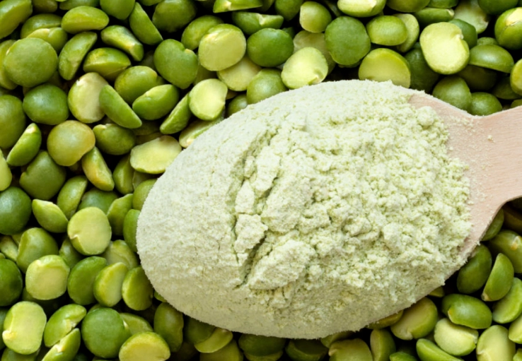 豌豆蛋白 大豆蛋白 比較 豌豆蛋白 大豆蛋白 比較