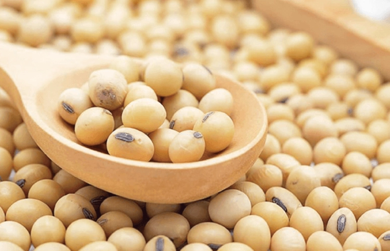 乾黃豆蛋白質食譜 乾黃豆蛋白質食譜