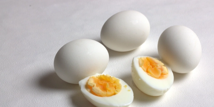 蛋白質含量 蛋白質含量