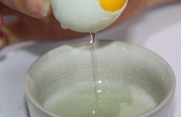 雞蛋蛋白營養 雞蛋蛋白營養