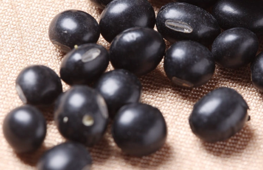 黑豆膳食纖維功效 黑豆膳食纖維功效