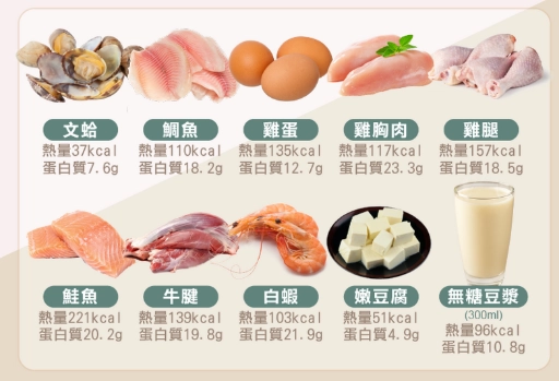 肉類蛋白質含量