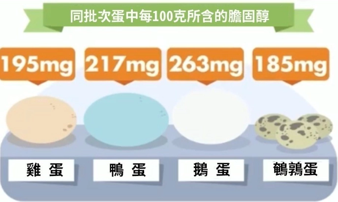 雞蛋營養成分 雞蛋營養成分