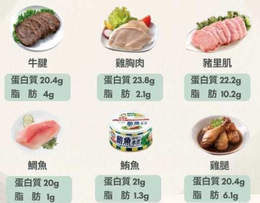 肉類蛋白質含量