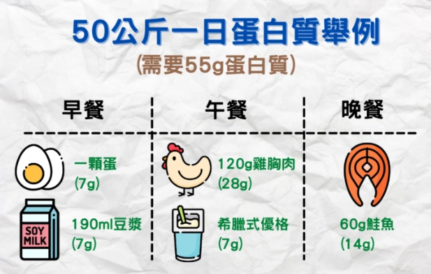 蛋白質攝取量