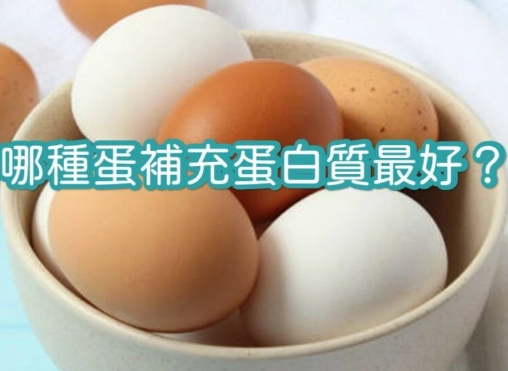 雞蛋營養成分 雞蛋營養成分