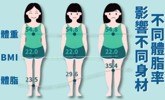 體脂計使用技巧 體脂計使用技巧