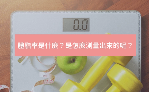 晚上體脂低原因