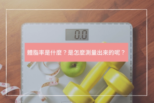 體脂測量最佳時間 體脂測量最佳時間