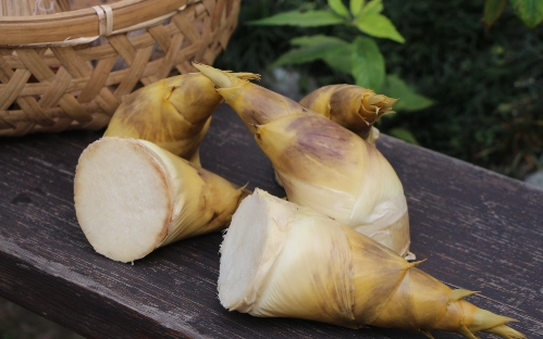 觀音山小吃推薦 觀音山小吃推薦