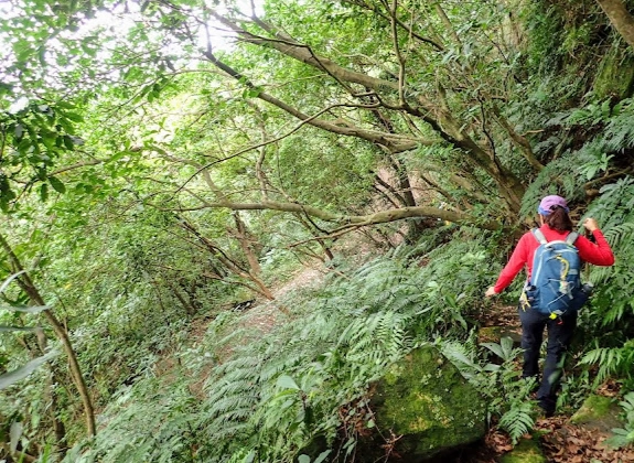 台灣小百岳推薦 台灣小百岳推薦