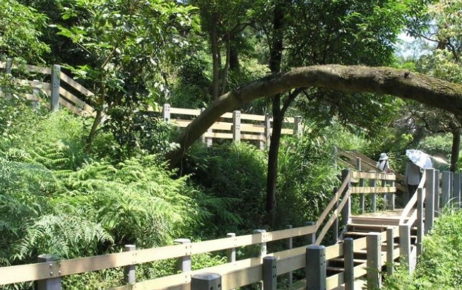 台北親子步道