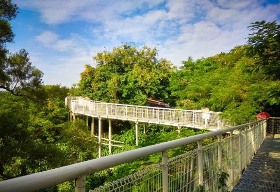 天空步道延伸計劃