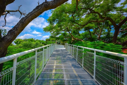 天空步道延伸計劃